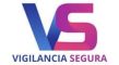 Vigilancia Segura Spa
